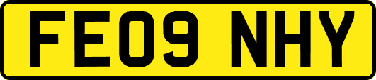 FE09NHY