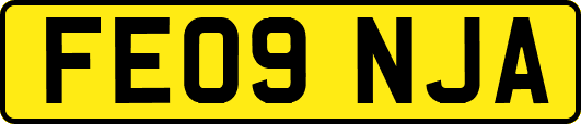 FE09NJA