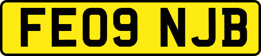 FE09NJB