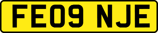 FE09NJE