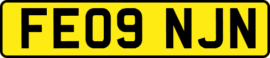 FE09NJN