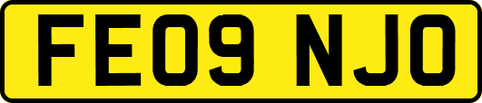 FE09NJO