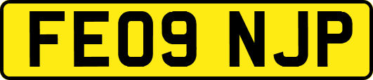 FE09NJP