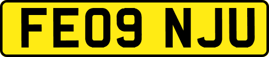 FE09NJU