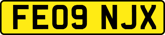 FE09NJX