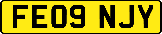 FE09NJY