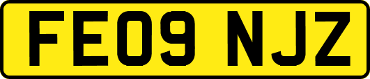 FE09NJZ