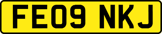 FE09NKJ