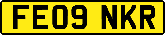 FE09NKR