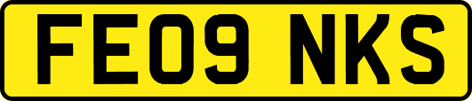 FE09NKS