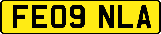 FE09NLA