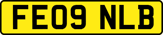FE09NLB