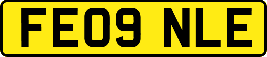 FE09NLE