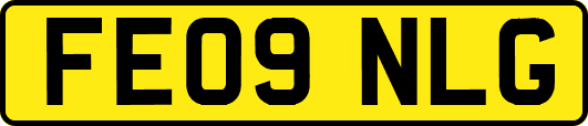 FE09NLG