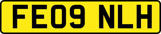 FE09NLH