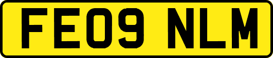 FE09NLM