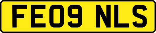 FE09NLS