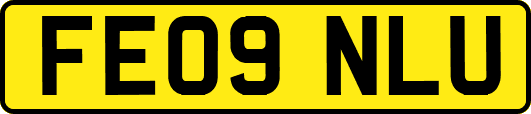 FE09NLU