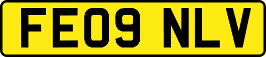 FE09NLV