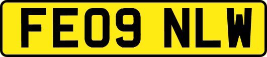 FE09NLW
