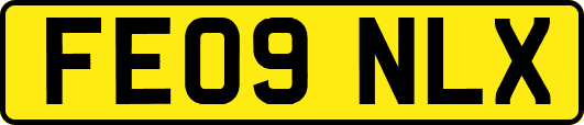 FE09NLX