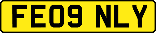 FE09NLY