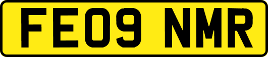 FE09NMR