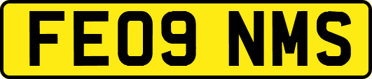 FE09NMS