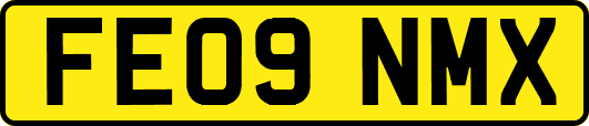 FE09NMX