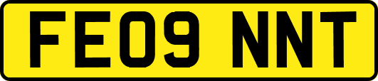 FE09NNT