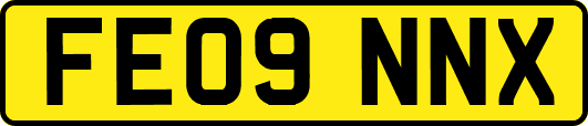 FE09NNX