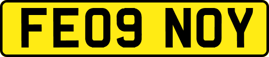 FE09NOY