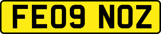 FE09NOZ