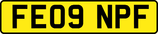 FE09NPF