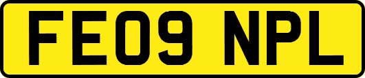 FE09NPL