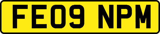 FE09NPM