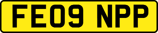 FE09NPP