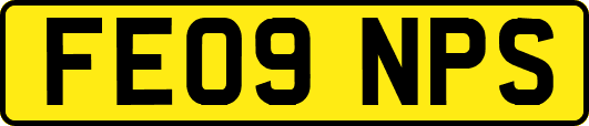 FE09NPS