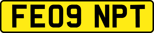 FE09NPT