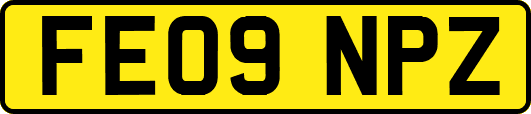 FE09NPZ