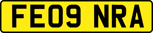 FE09NRA