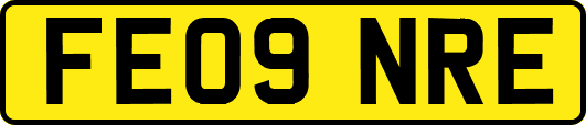 FE09NRE