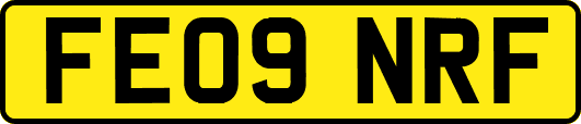 FE09NRF