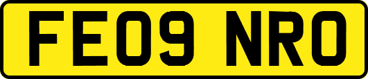 FE09NRO