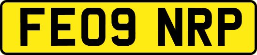 FE09NRP