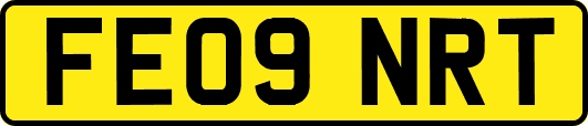 FE09NRT