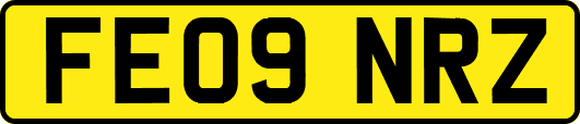 FE09NRZ