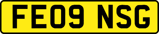 FE09NSG