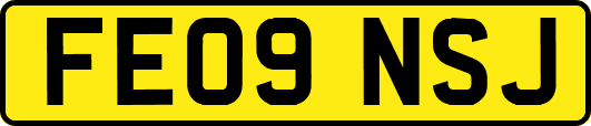 FE09NSJ
