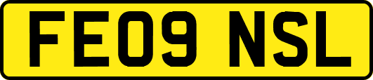 FE09NSL